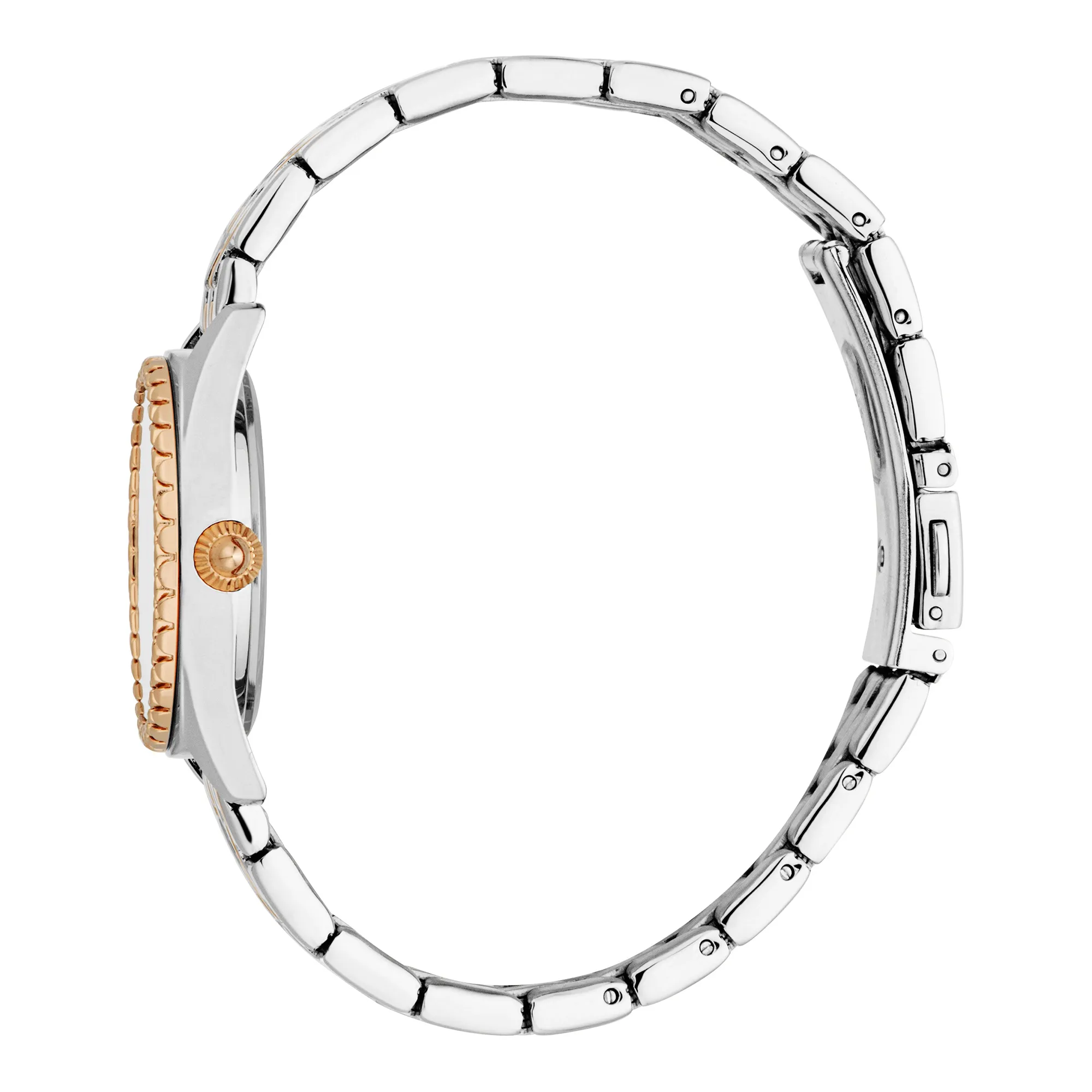 Indomitable Animalier Two Tones RG Silver - Image 3