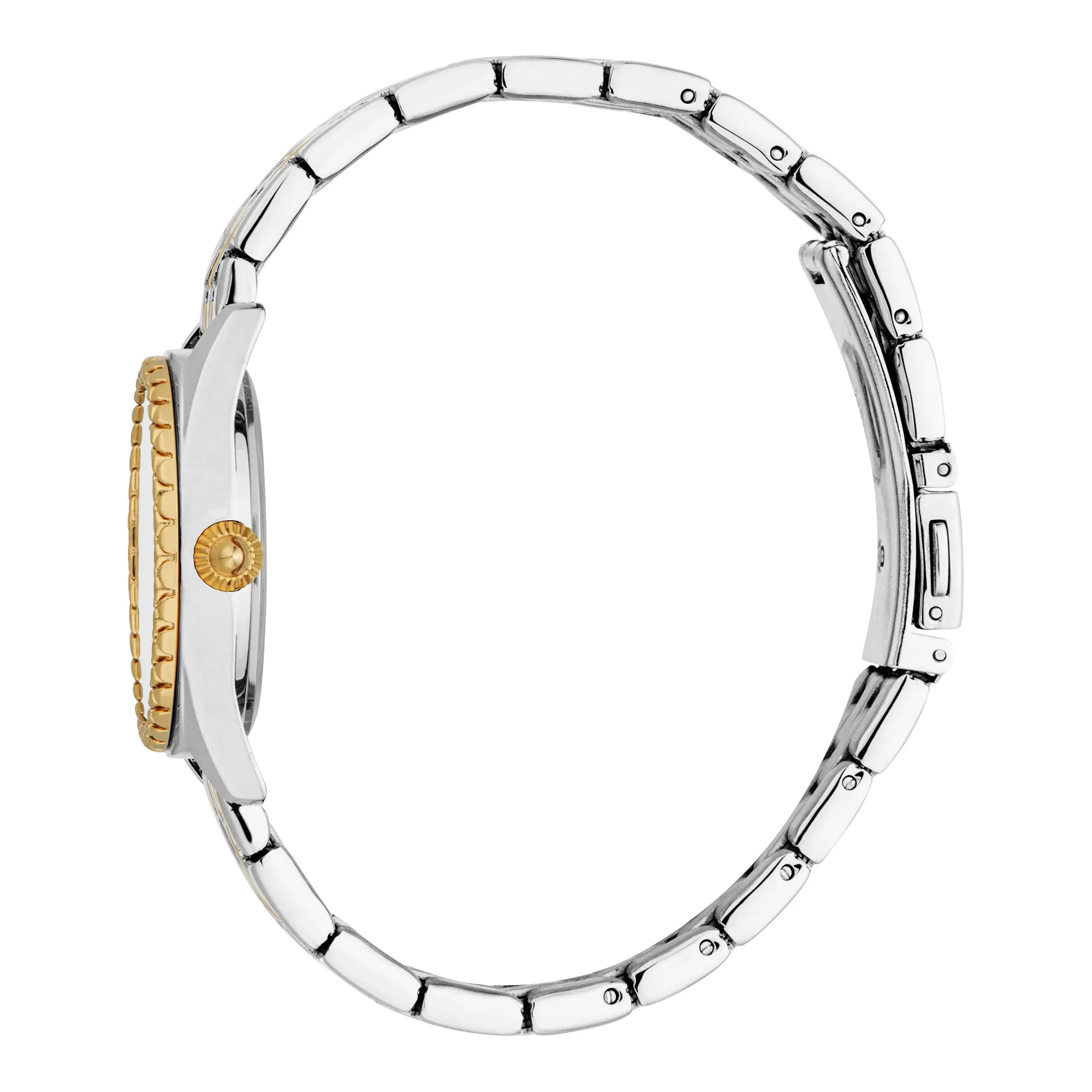 Indomitable Animalier Two Tones YG Silver - Image 3