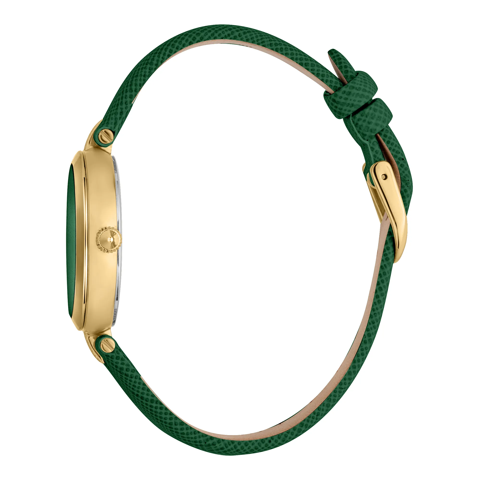 Maiuscola Leather Green Gold - Image 2