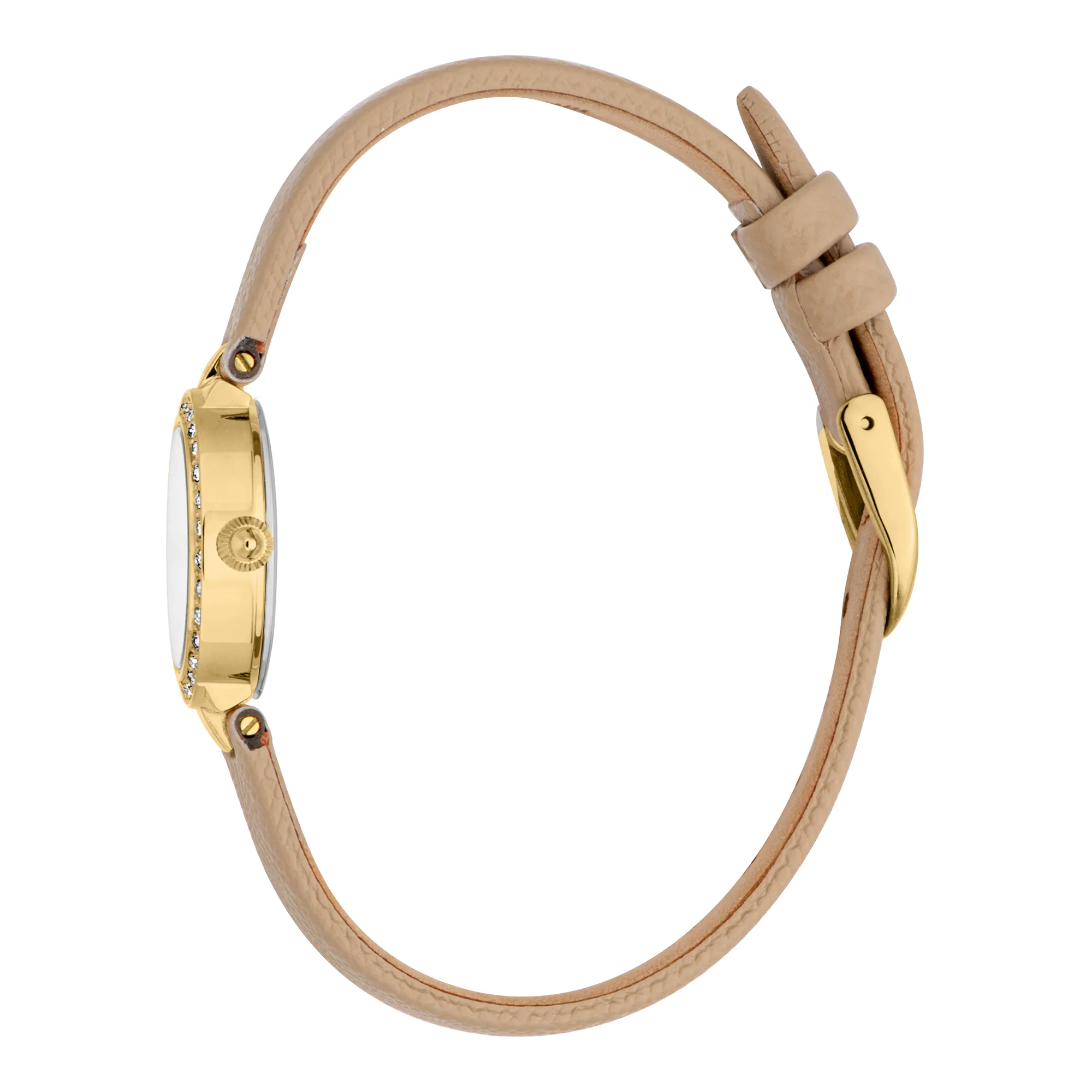 Serenita Mini Leather Beige YG Silver - Image 3