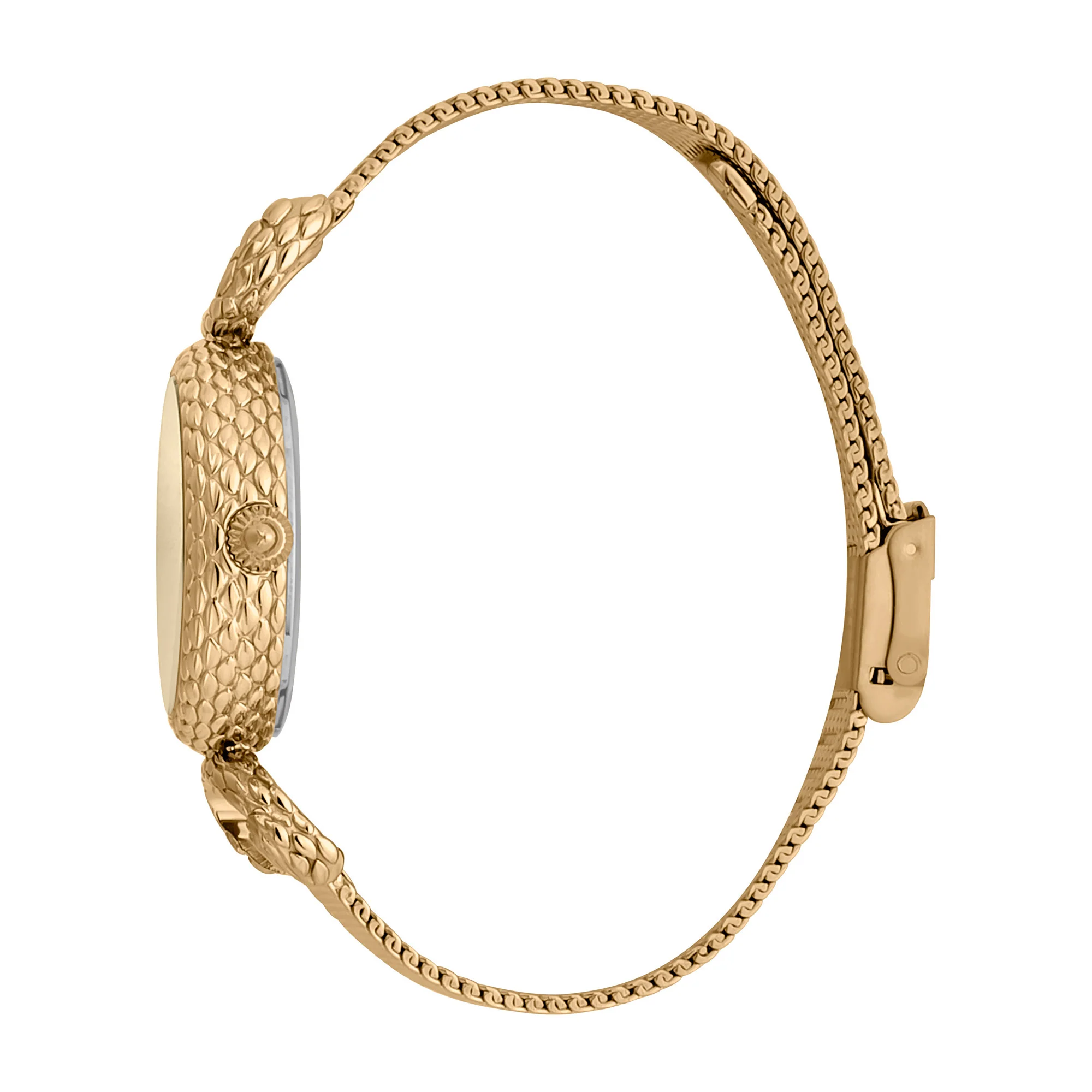 Snake Inside Gold - Image 2