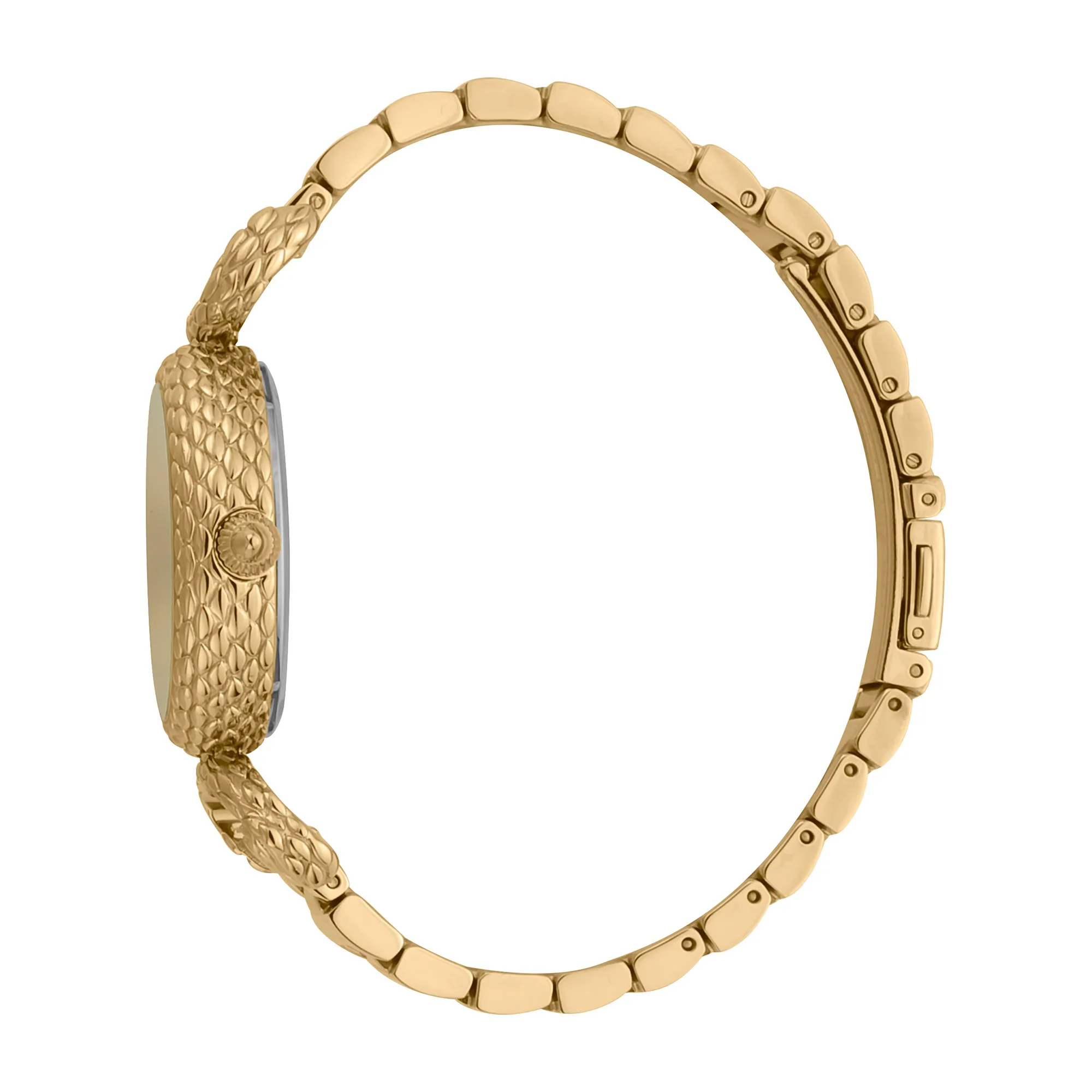Snake Inside Gold Champagne - Image 2