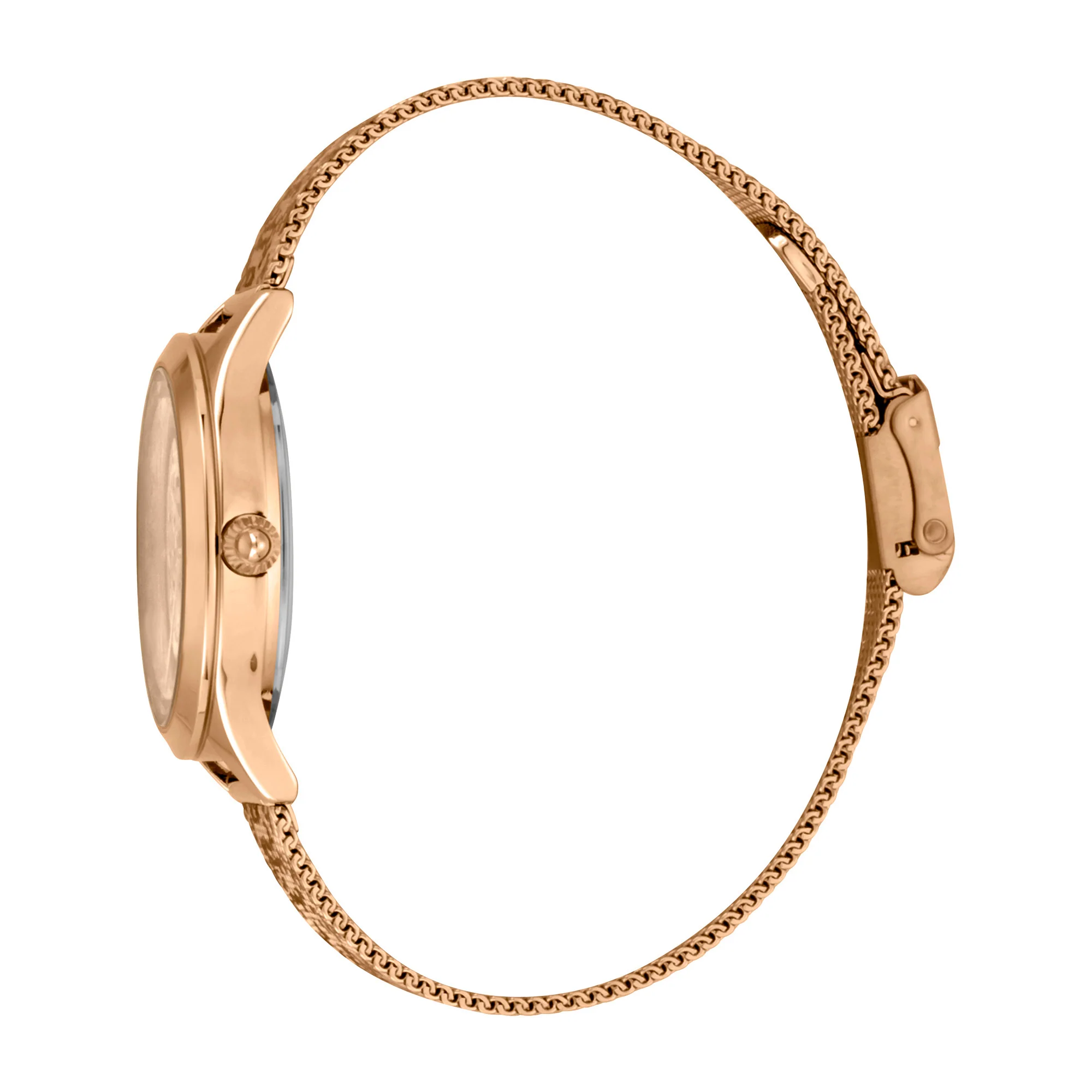 Steel Rose Gold Leopard Logo - Image 2