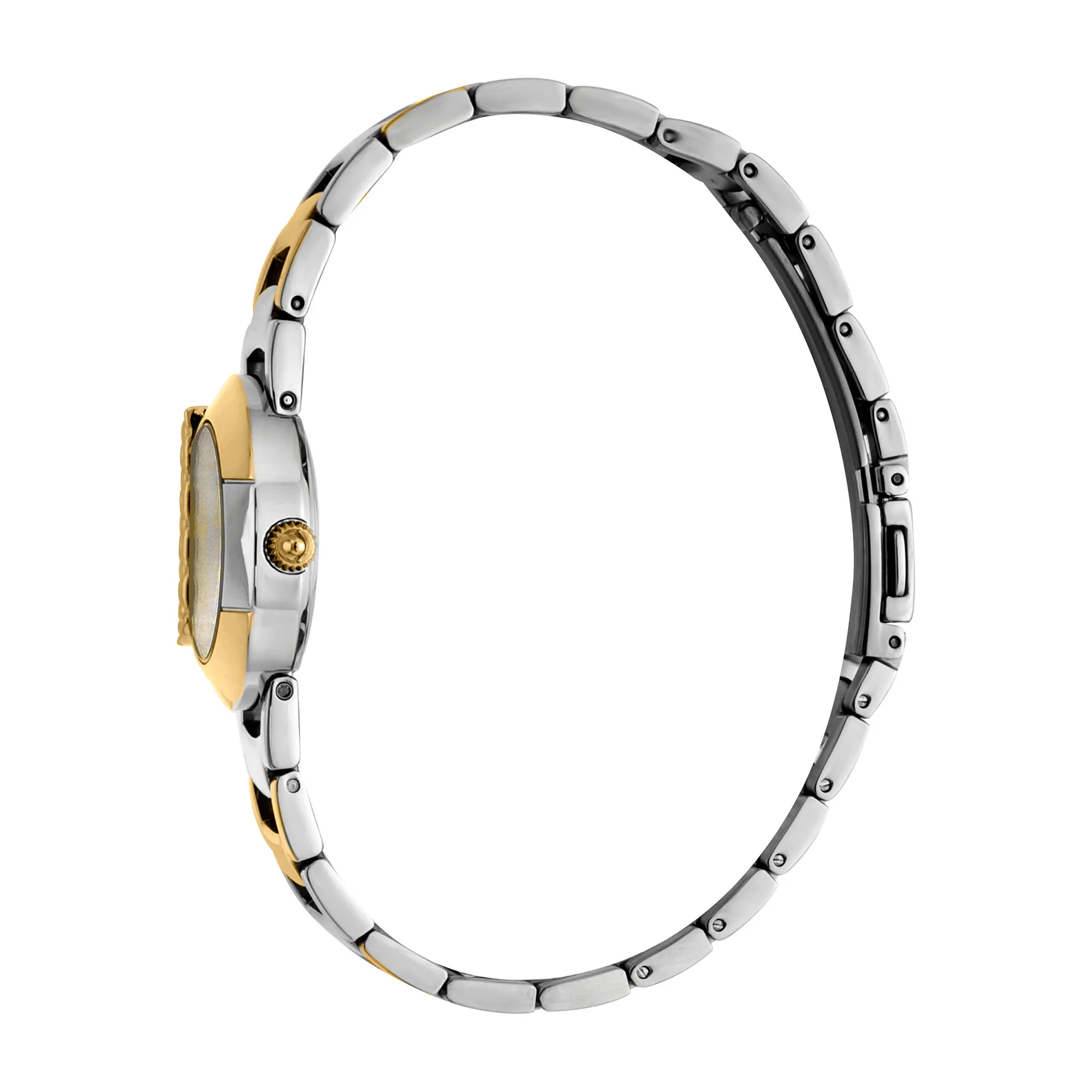 Steel Yellow Gold TwoTone Zebra Glitter - Image 2