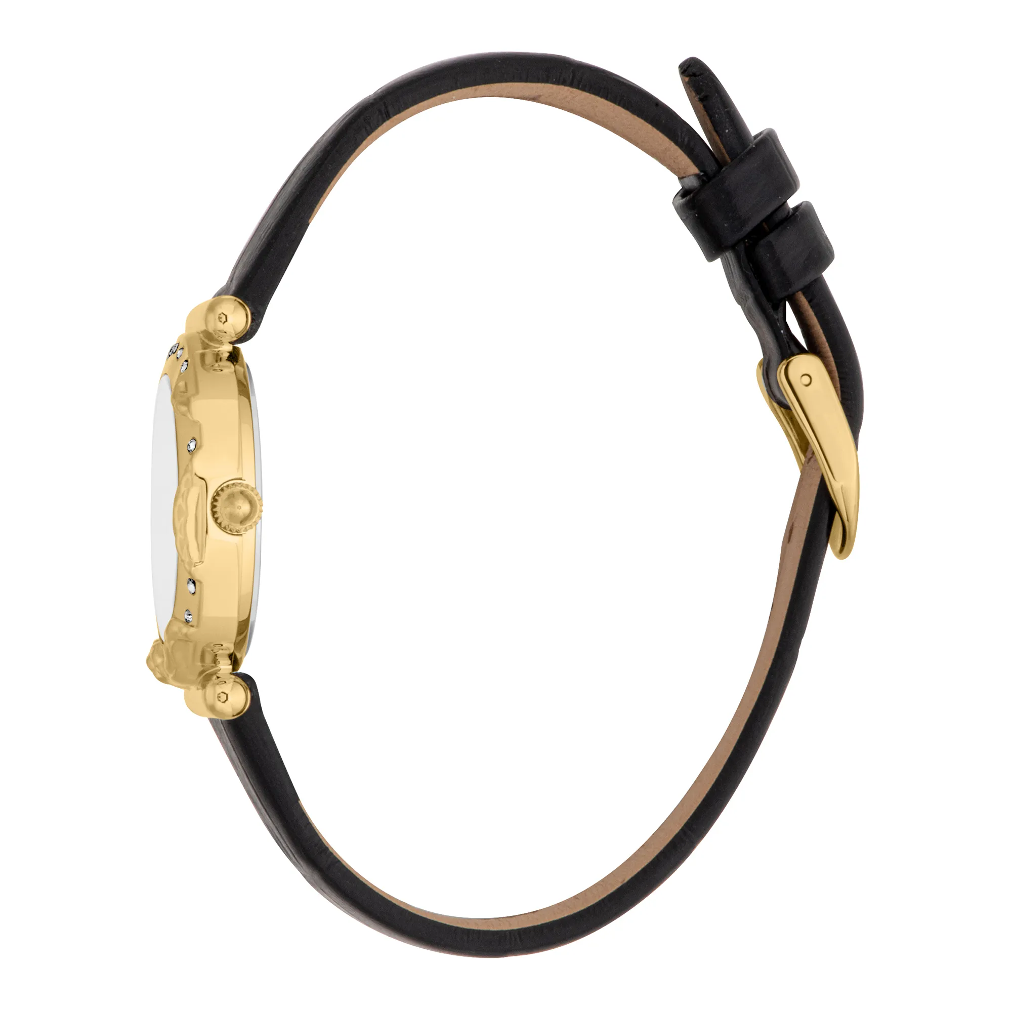 Stella Snake Leather Black YG Silver - Image 3